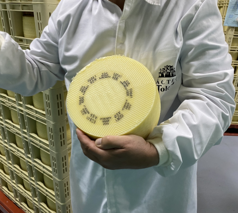 TGT, la silenciosa historia del gigante quesero que quiere estar en todos los frigoríficos de España