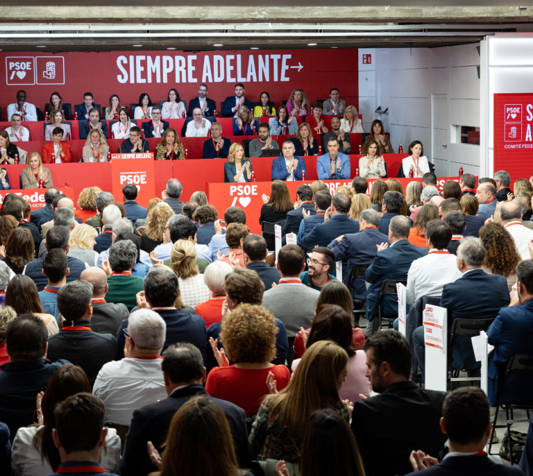 Pedro Sánchez se dirige al Comité Federal