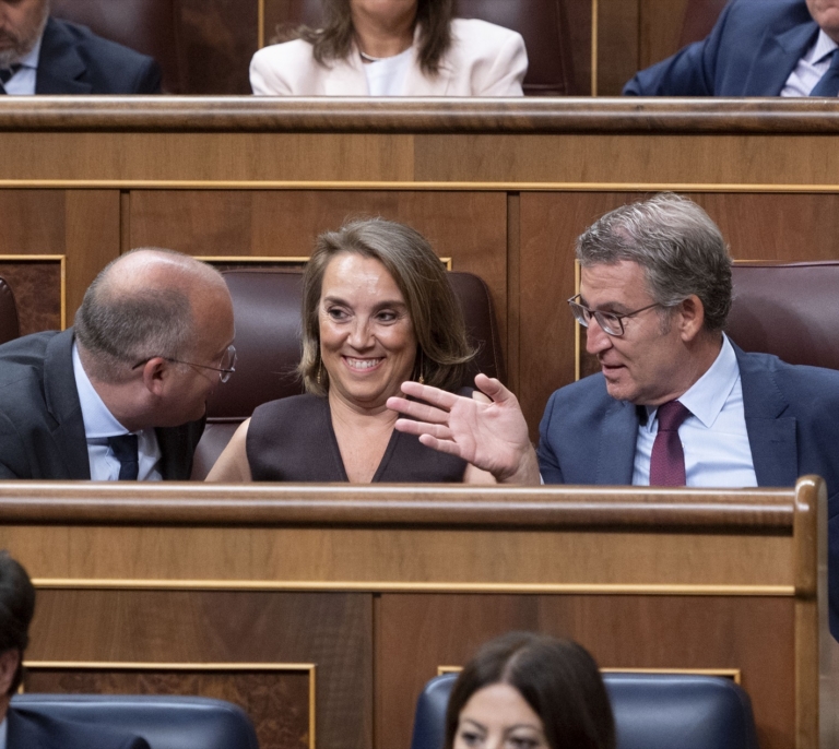 El juez Pedraz rechaza la querella del PP contra la financiación del PSOE