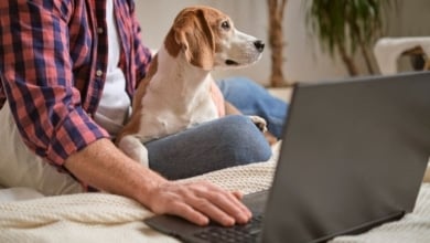 ¿Pueden rechazarme un alquiler si tengo una mascota?