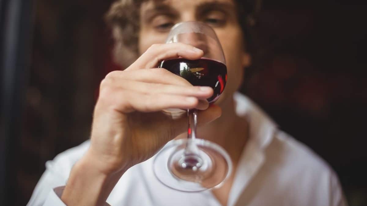 Mejores tiendas de vinos 2026