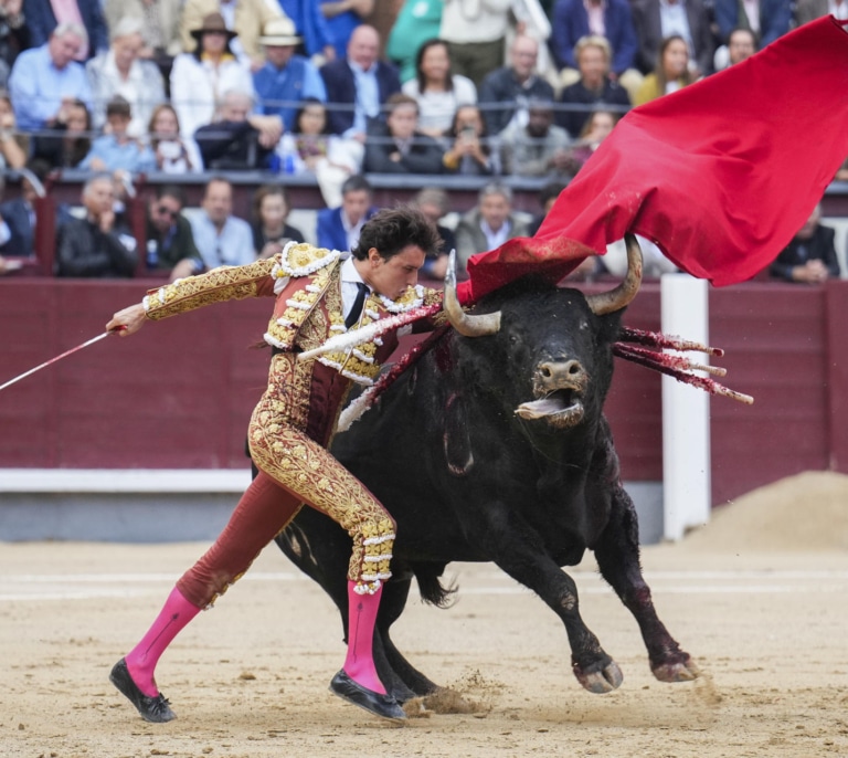 Roca Rey sufre una cogida en su primer toro en la Feria de Otoño de Las Ventas