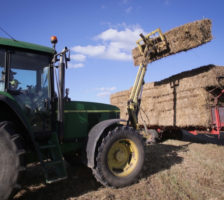 Los productores de cereal preparan movilizaciones: "Nos jugamos la soberanía alimentaria"