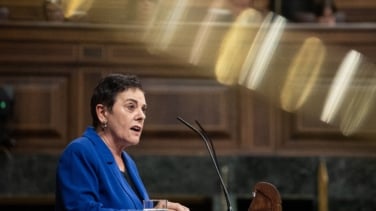 El Congreso rechaza una reforma del PP contra Bildu para impedir que condenados por terrorismo se presenten a las elecciones