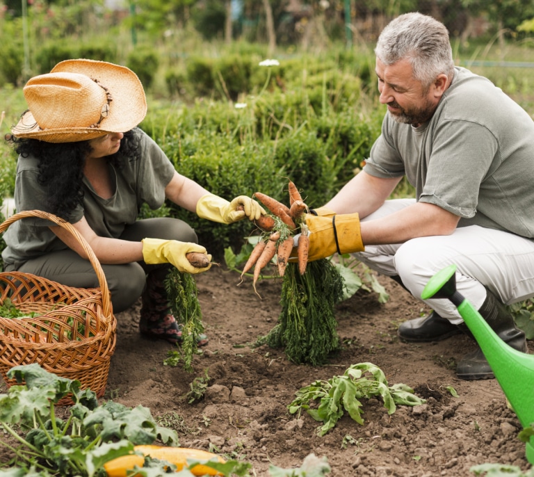 El futuro empieza en el sector agro: Banco Santander apuesta por el crecimiento sostenible