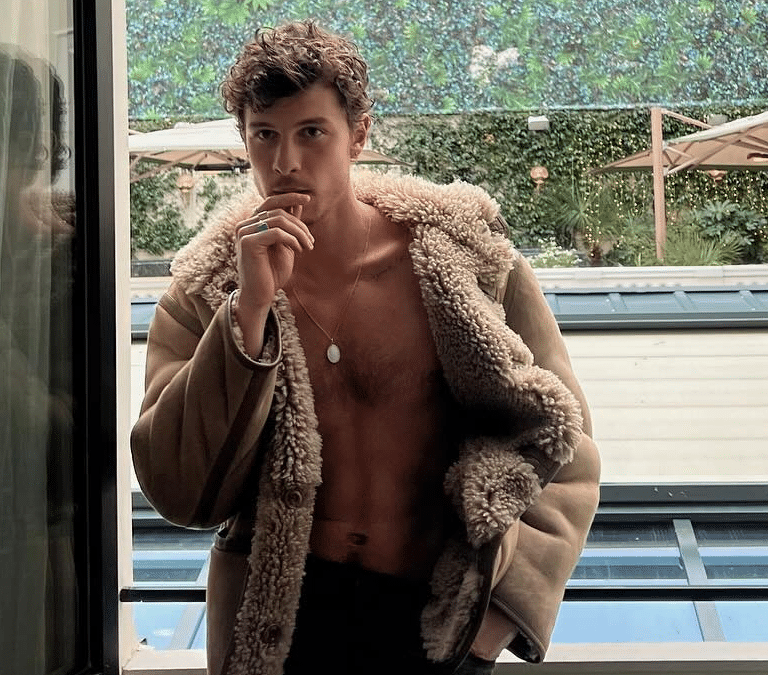 Shawn Mendes, víctima de la pasión de la generación z por un triángulo amoroso