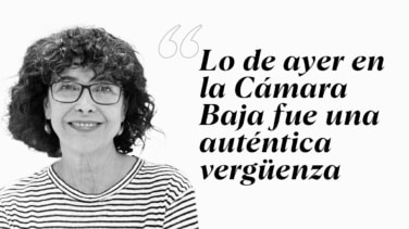 "Lo de ayer en la Cámara Baja fue una auténtica vergüenza"