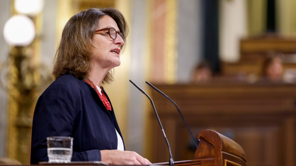 MADRID, 20/11/2024.- La vicepresidenta tercera del Gobierno, Teresa Ribera, durante su comparecencia este miércoles en el Congreso y el Senado para ofrecer sus explicaciones sobre su gestión de la dana mientras sigue en el aire su nombramiento como vicepresidenta de la Comisión Europea por el veto del PP. EFE/ Mariscal