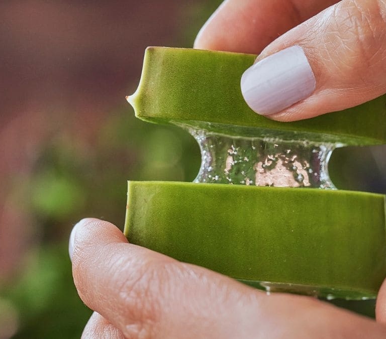 Esto es lo que ocurre si se aplica Aloe Vera en la cara a diario