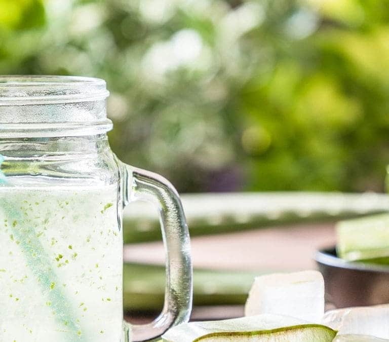Qué pasa en el cuerpo si comemos Aloe Vera