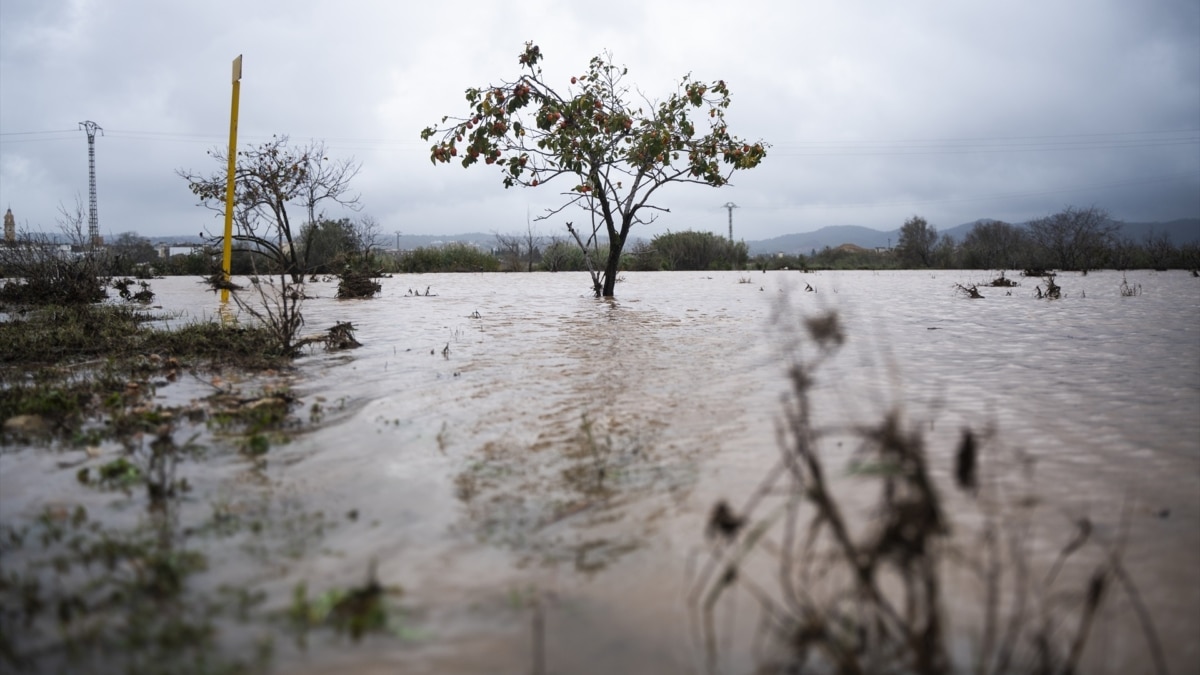 Crecida del río Magre en Valencia.