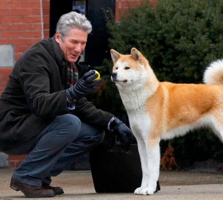 Si el perro muere no quiero ver la película: la web que protege de disgustos a los espectadores sensibles