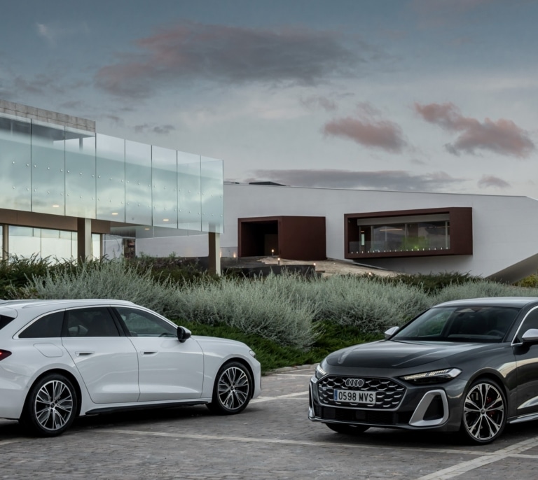 Audi A5: Cocina de fusión