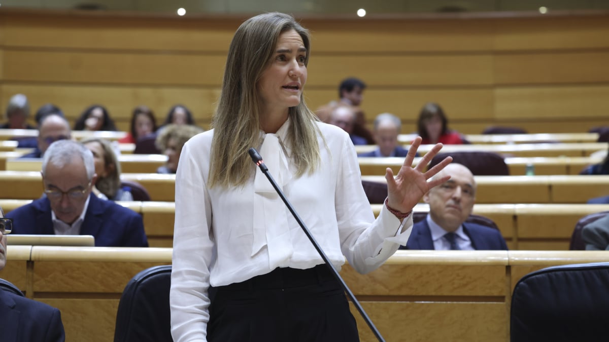 Aldama tardó 600 días en lograr la licencia de hidrocarburos, "tres veces más que la media", afirma Aagesen