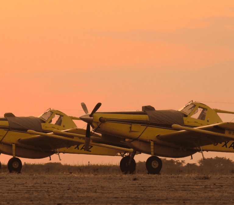 Los aviones que sobrevuelan los países buscando sus tesoros naturales