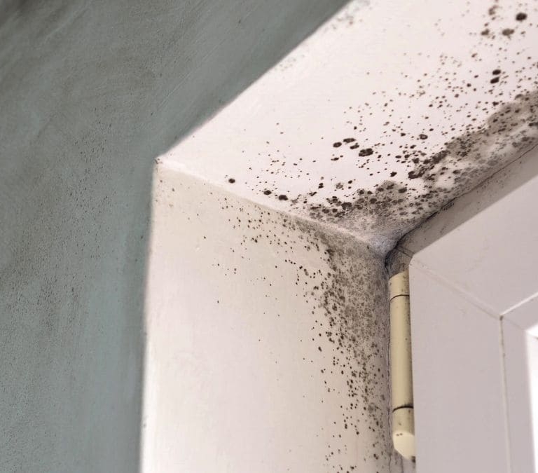 Haz esto y olvídate de la humedad y el mal olor en la casa