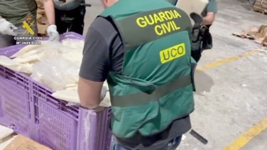 Desarticulada una organización criminal que introducía cocaína oculta en frutas en Sevilla