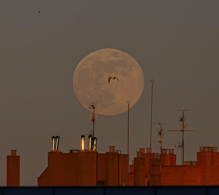Calendario lunar febrero 2025: ¿influye la fase de la luna para cortarse el pelo?