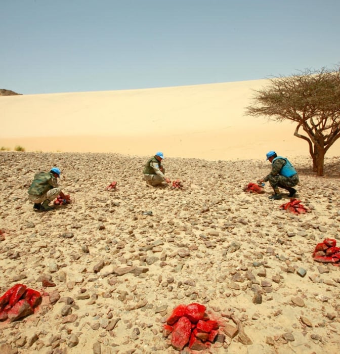 Cómo la ONU fracasó en el Sáhara Occidental