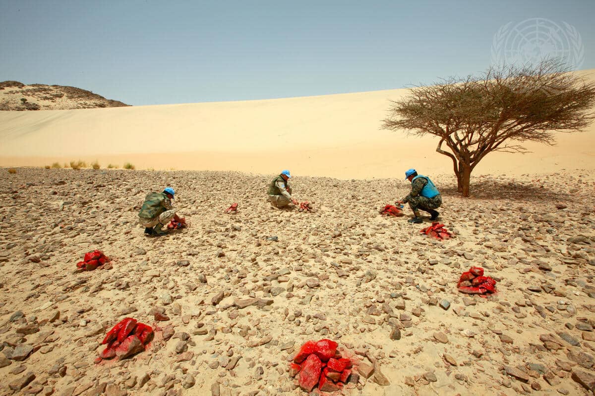 Cómo la ONU fracasó en el Sáhara Occidental