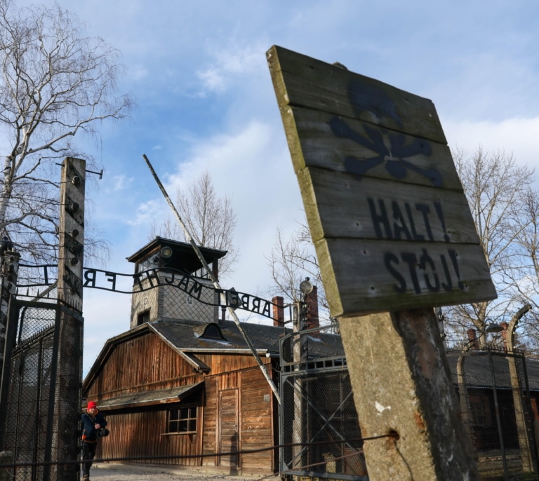 Un 48% de los americanos y un 18% de los alemanes no saben de Auschwitz ni de ningún otro campo de concentración nazi