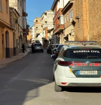 La Guardia Civil detiene a seis varones en Ciudad Real y recupera [...]