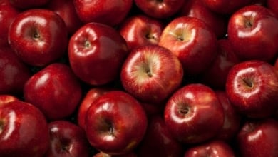 Frutas y verduras de temporada que se pueden tomar en octubre