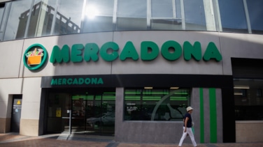 Mercadona tiene el mejor producto para eliminar manchas: desde las más comunes hasta las más complejas