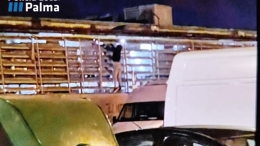 Joven detenido por escalar muro de centro comercial para robar