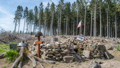 En el bosque de Hürtgen, la carnicería que selló el fin del ejército de Hitler