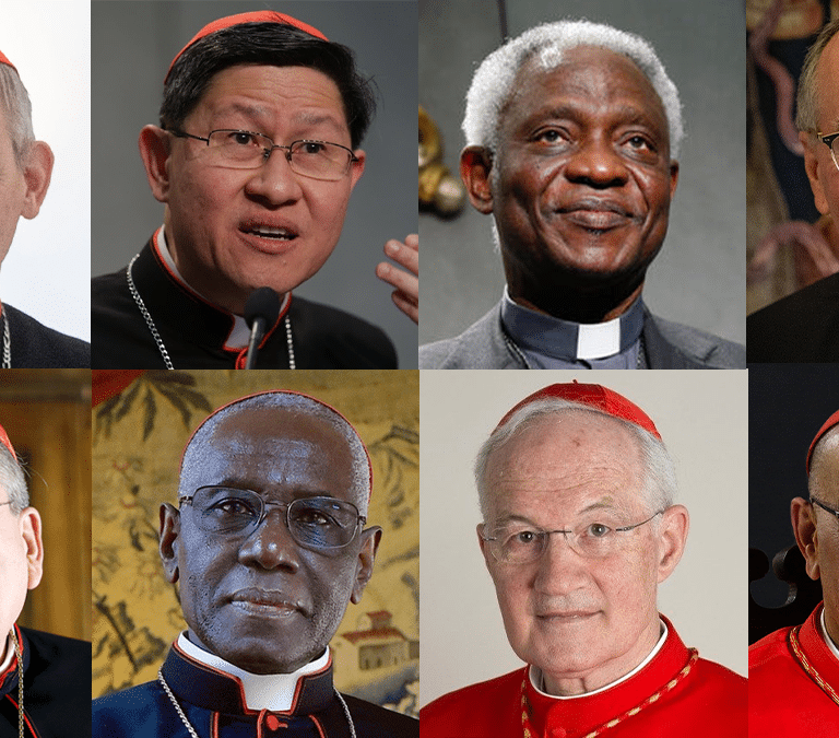 Estos son los posibles sucesores tras la muerte del Papa Francisco