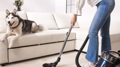 Las 10 mejores aspiradoras de 2026: potencia, capacidad y precios