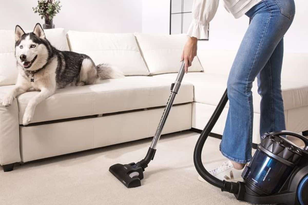 Las 10 mejores aspiradoras de 2026: potencia, capacidad y precios