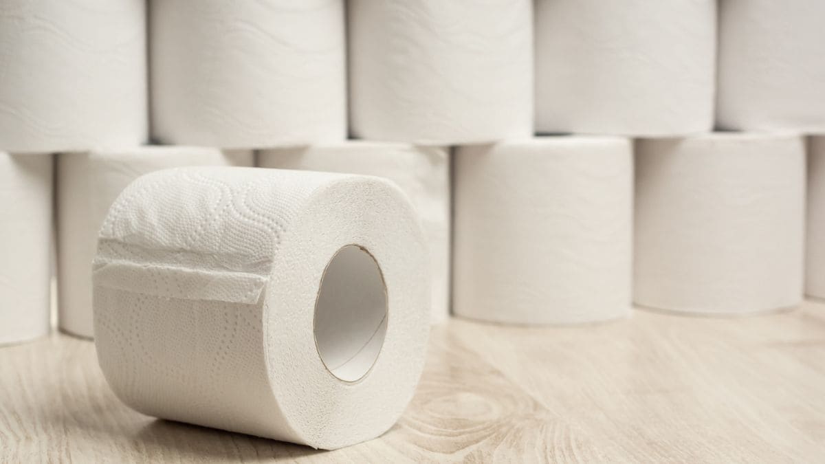 Papel higiénico "bumgun"