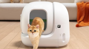 El arenero para gatos autolimpiable top ventas en Amazon ¡está de ofertón!