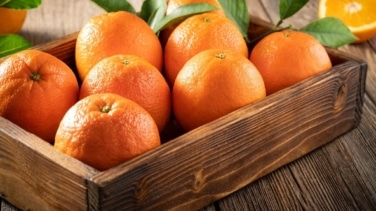 Alerta por la nueva estafa: lo que debes hacer si encuentras naranjas tiradas en la carretera