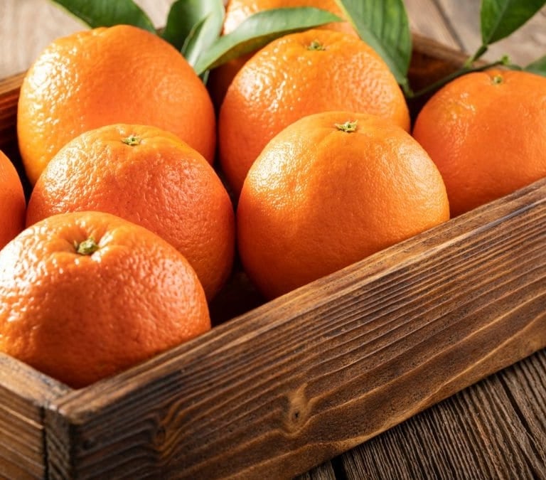 Alerta por la nueva estafa: lo que debes hacer si encuentras naranjas tiradas en la carretera