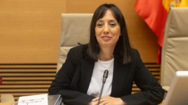 La Guardia Civil ultima sus "cibercomandancias", que contarán con agentes virtuales