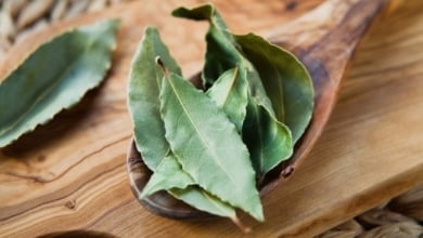 Los beneficios de poner una hoja de laurel debajo de la almohada para mejorar el descanso