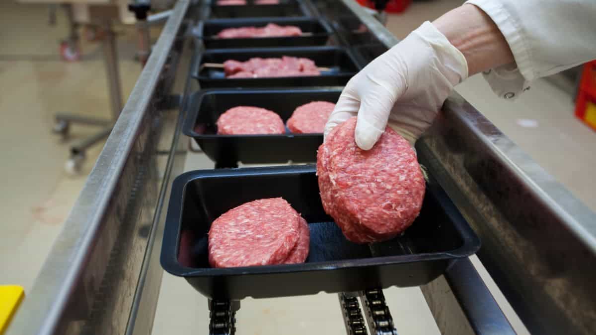 OCU carne hamburguesa