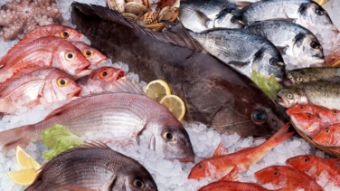 Nueva alerta de la OCU: los pescados que no debes comer por su elevado contenido de mercurio