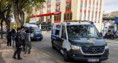 Investigado por tirar la basura a tres cachorros de perro en Madrid