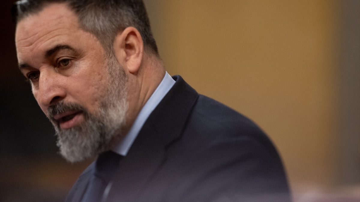 El presidente de Vox, Santiago Abascal, en un pleno del Congreso de los Diputados