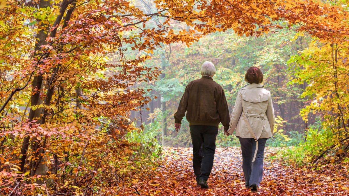Ancianos caminar salud