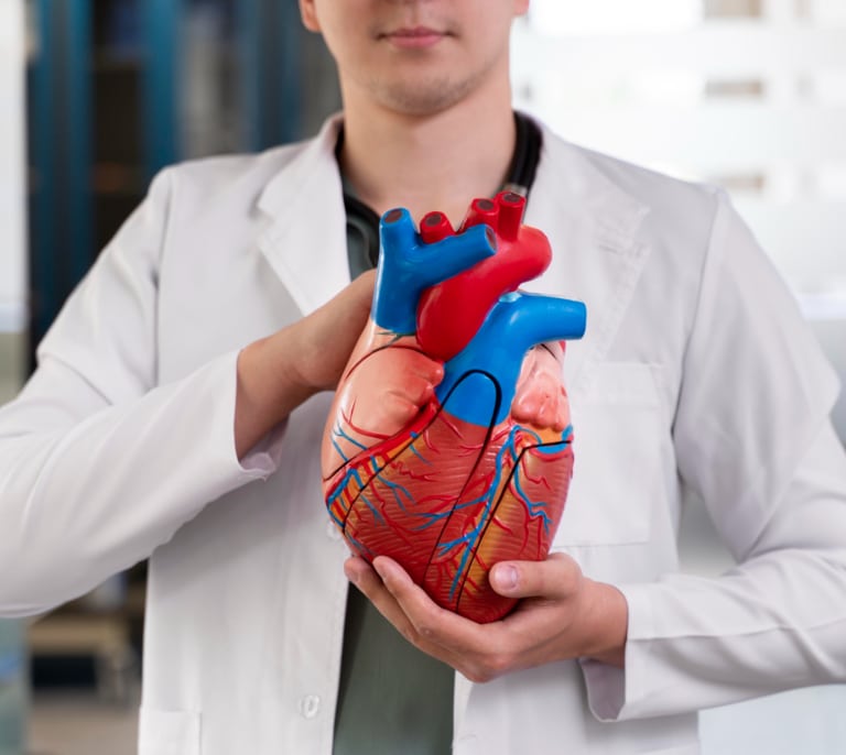 Técnicas para tratar los aneurismas, una peligrosa patología de la aorta