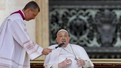 El Papa vuelve a hablar en público: "Buen Domingo de Ramos y buena Semana Santa"