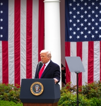Trump es estúpido