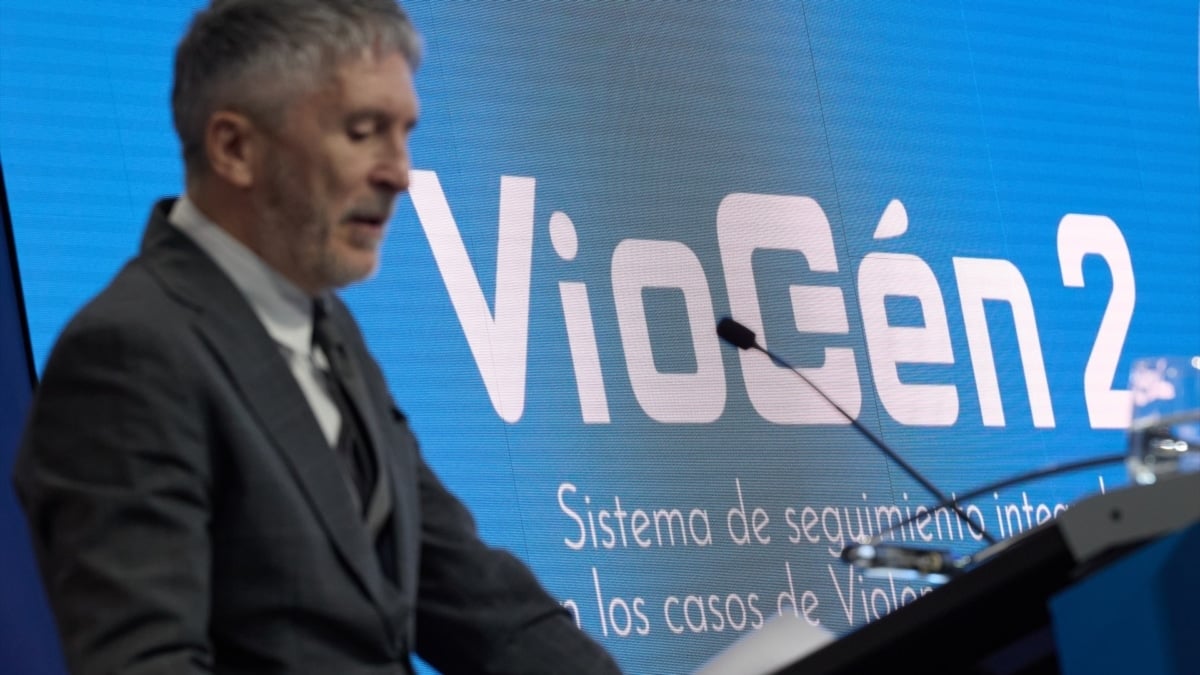 Sólo el 11,4% de ayuntamientos está en el sistema VioGén, clave en la lucha contra la violencia machista