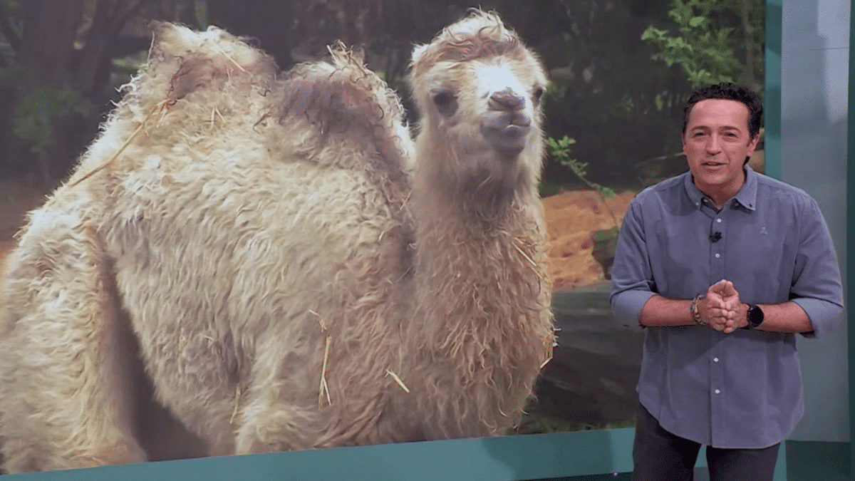 Jacob Petrus presenta Aquí la Tierra en La 1 de TVE
