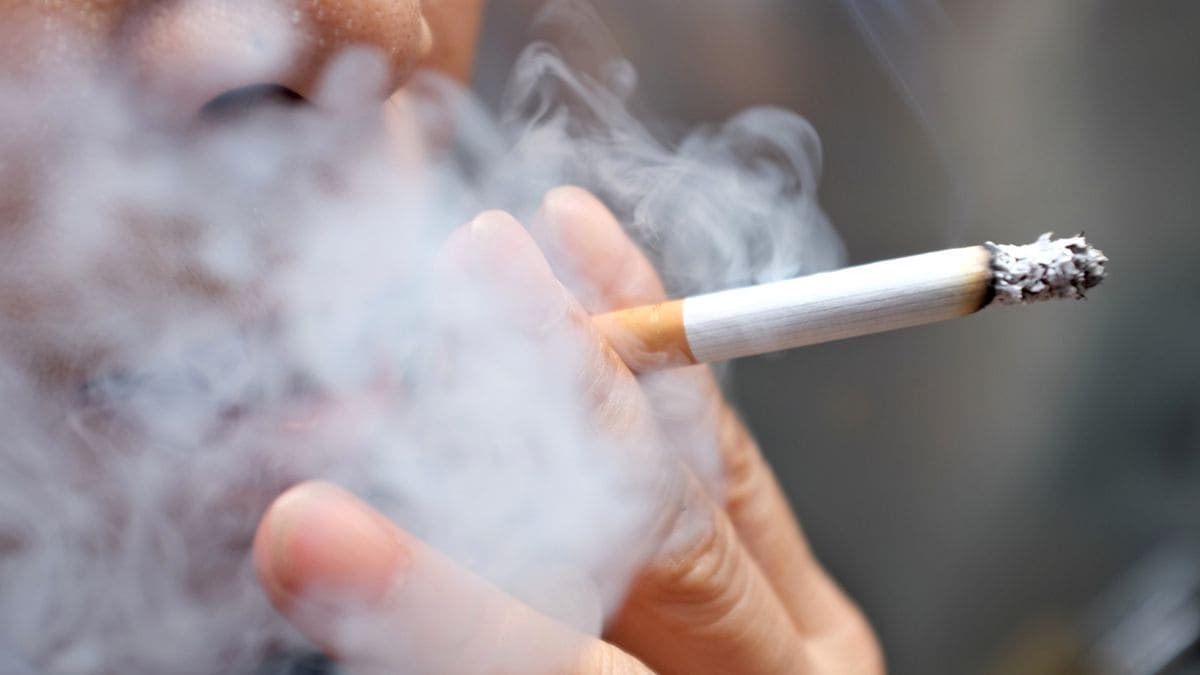Precio tabaco